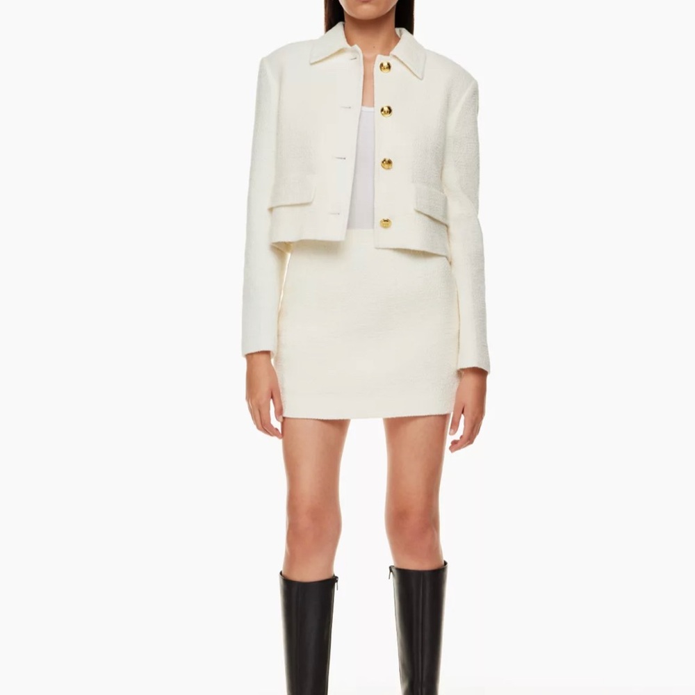 Aritzia mini skirt
